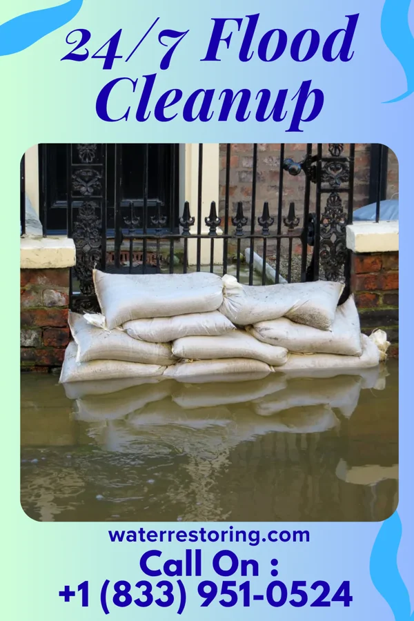 24/7 Flood Cleanup in Belleplain, NJ