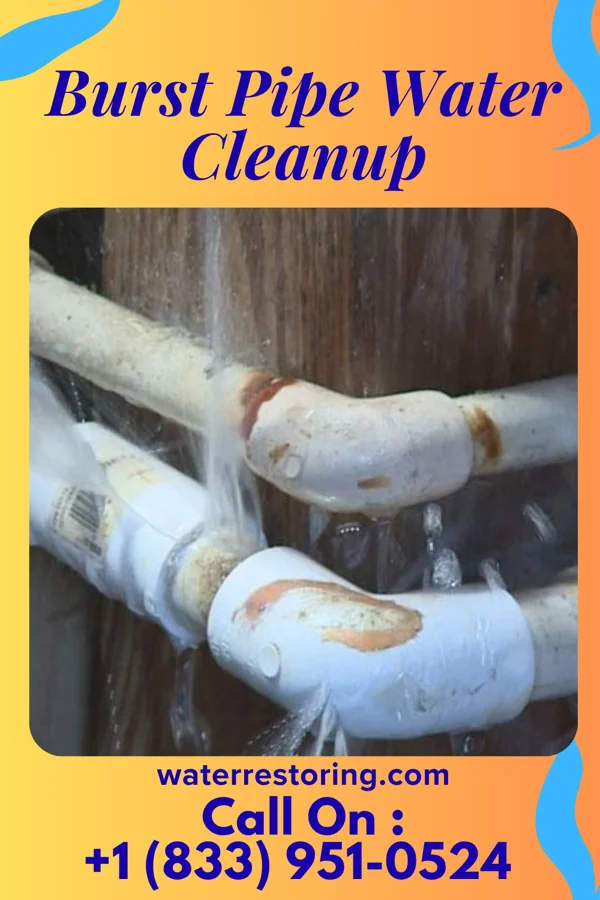 Burst Pipe Water Cleanup in Belleplain, NJ