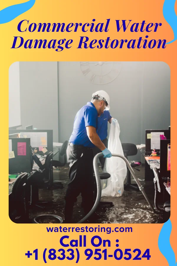 Commercial Water Damage Restoration in Belleplain, NJ