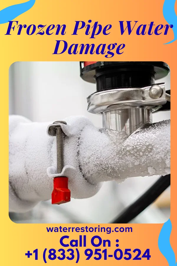 Frozen Pipe Water Damage in Belleplain, NJ